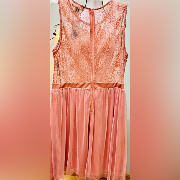 Forever 21 + Plus Sizes Elegant Dusty Pink Lace & Tulle Dress - Picture 14 of 16